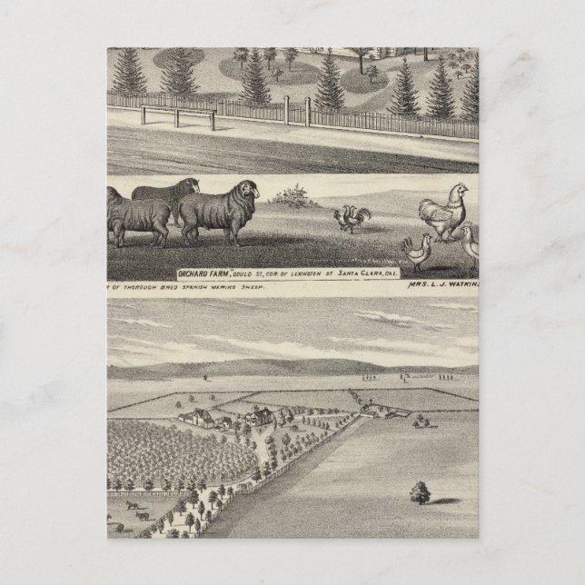 Postal Granja Orchard, Somerville Lodge (Anverso)