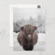 Postal Granja Rústica de la vaca Highland Scotland (Anverso / Reverso)