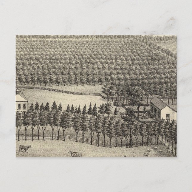 Postal Granja sin amor, Nebraska (Anverso)