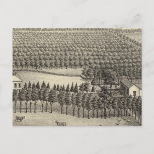 Postal Granja sin amor, Nebraska