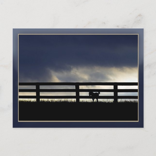 Postal Granja Stallion (Anverso)