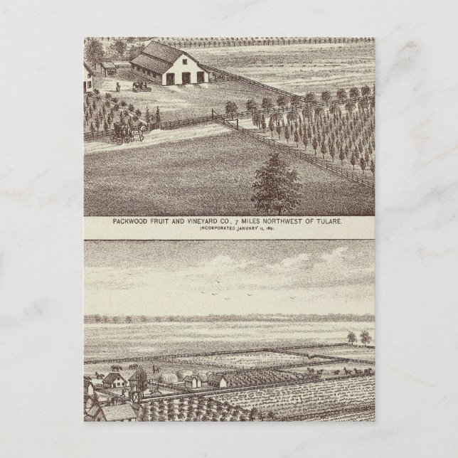 Postal Granjas de Tulare (Anverso)