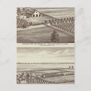 Postal Granjas de Tulare