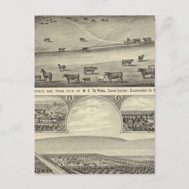 Postal Granjas del Condado de Saunders, Nebraska (Anverso)