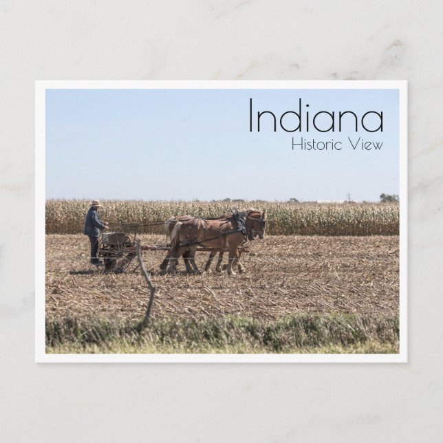 Postal Granjero Amish Plantando Corn (Anverso)