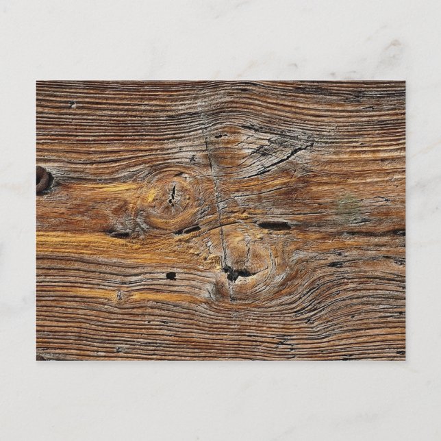 Postal Grano de madera, hoja de madera de plumas (Anverso)