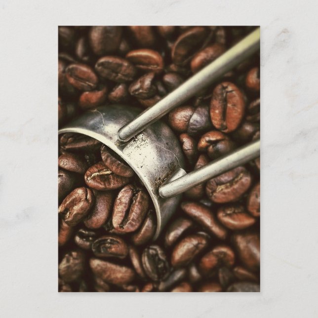 Postal Granos de café (Anverso)