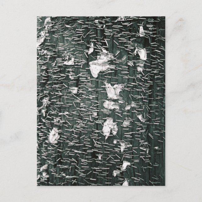 Postal Grapadas (Anverso)