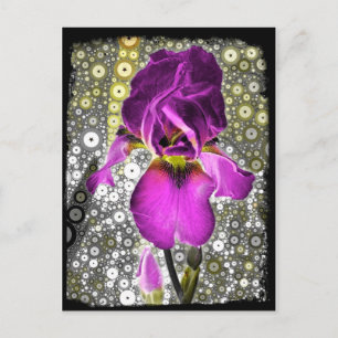Postal Grape Iris Postcard