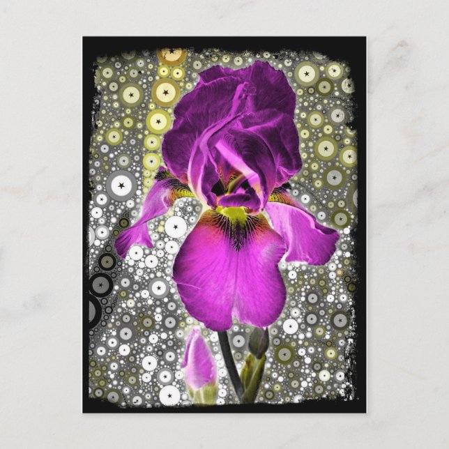 Postal Grape Iris Postcard (Anverso)