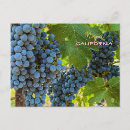 Postal Grapevines