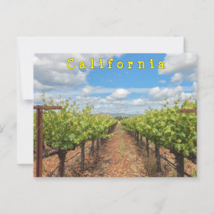 Postal Grapevines