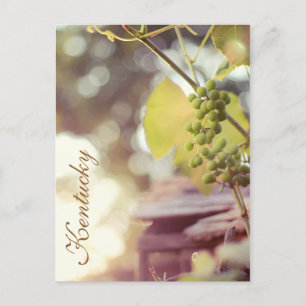 Postal Grapevines y Aves de JerseyFawn