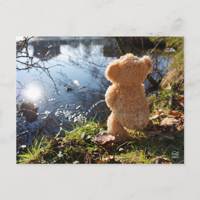 Postal Grappige beer die ondeugend plast. (Anverso)