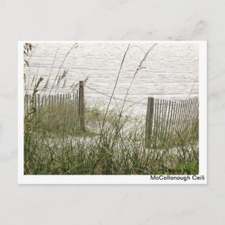 Postal Grasa de playa y valla