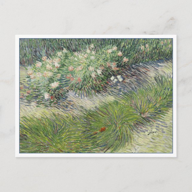 Postal Grasa y mariposas por van Gogh (Anverso)