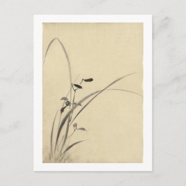 Postal Grasas, Bella Artes japonés de Hokusai (Anverso)