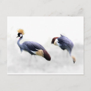 Postal Grasas croadas de gris japonesas