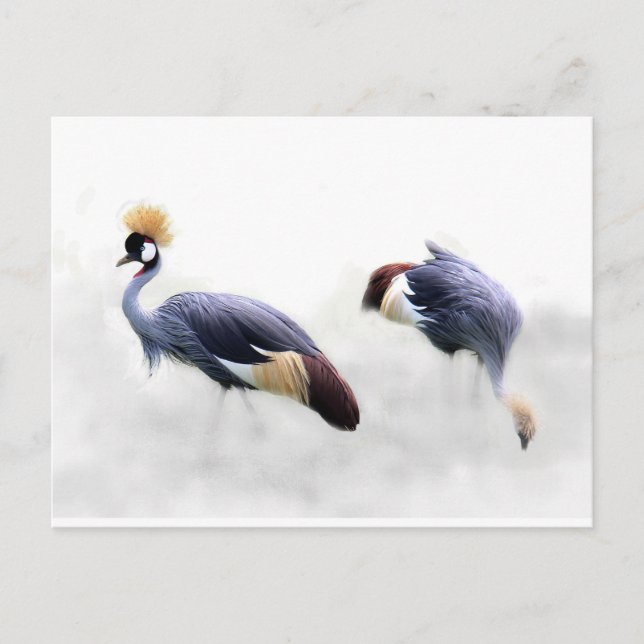 Postal Grasas croadas de gris japonesas (Anverso)