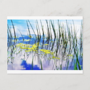 Postal Grass y Blues.JPG