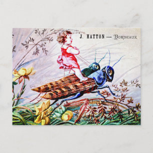 Postal Grasshoppers para niños