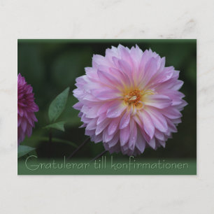 Postal Gratulerar till konfirmationen CC0503 Postcard