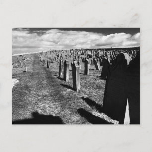 Postal Gravestones, Abadía Whitby, Whitby, North Yorkshir