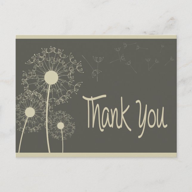 Postal Gray Gracias Dandelion Floral Greeting Post Card (Anverso)