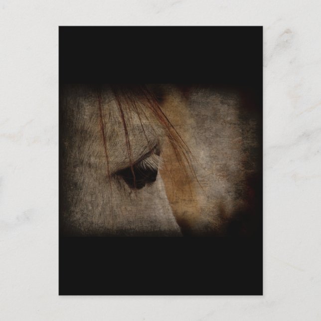 Postal Gray Horse Face Grunge (Anverso)