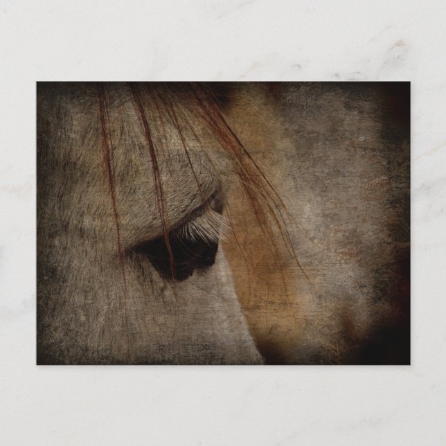 Postal Gray Horse Face Grunge (Anverso)