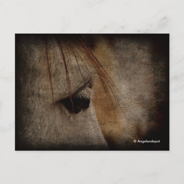 Postal Gray Horse Grunge (Anverso)