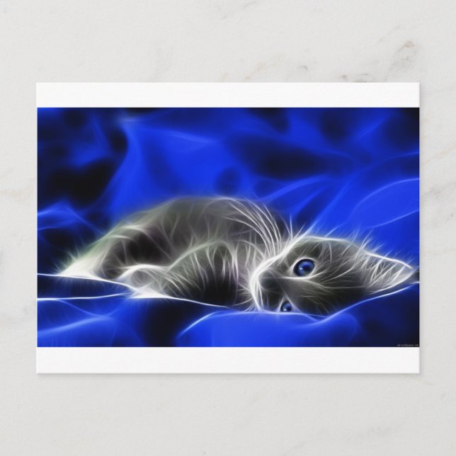 Postal Gray Kitten Awakes (Anverso)