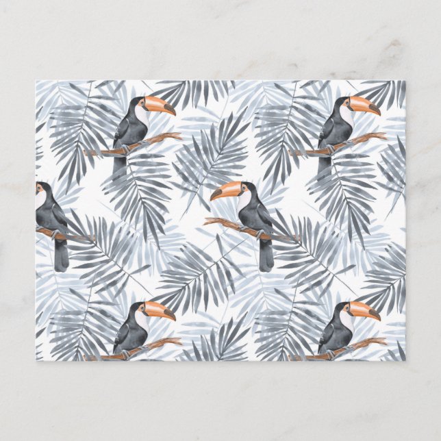 Postal Gray Toucan (Anverso)