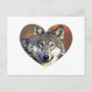 Postal Gray Wolf