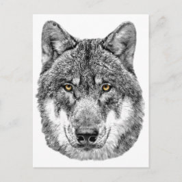 Postal Gray Wolf