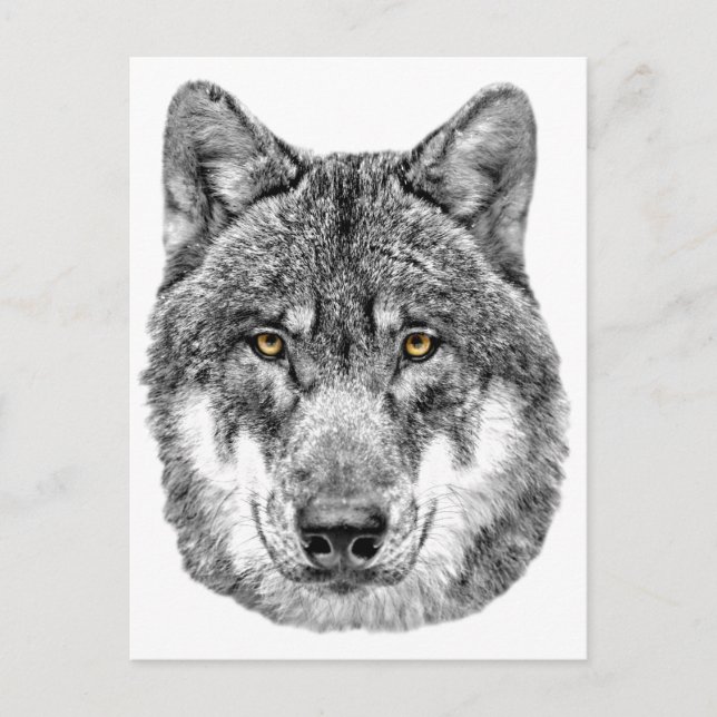 Postal Gray Wolf (Anverso)