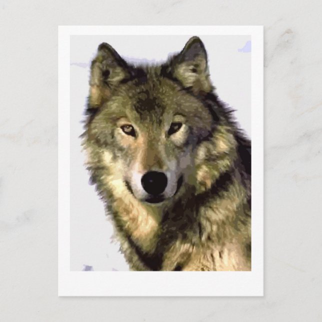 Postal Gray Wolf (Anverso)