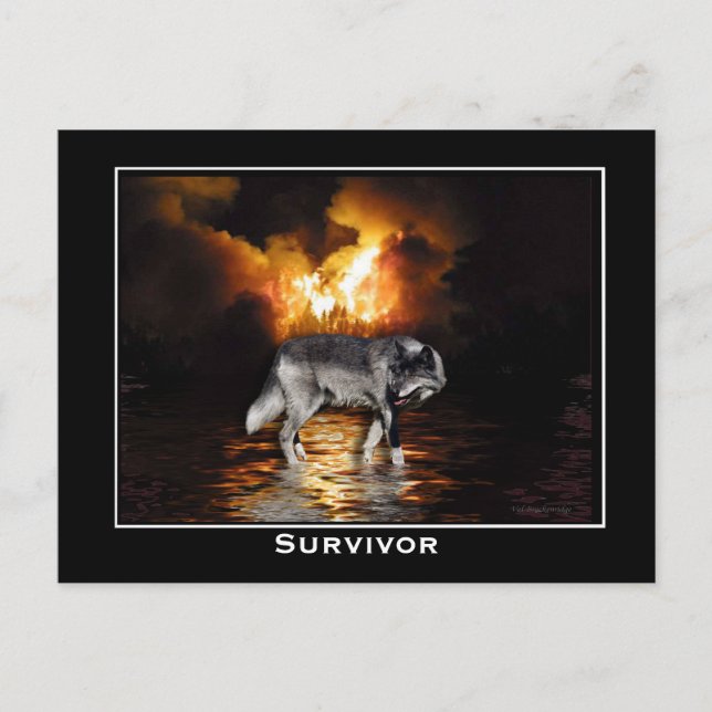 Postal Gray Wolf (Anverso)