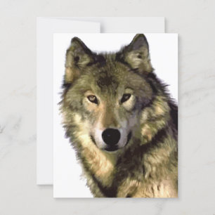 Postal Gray Wolf