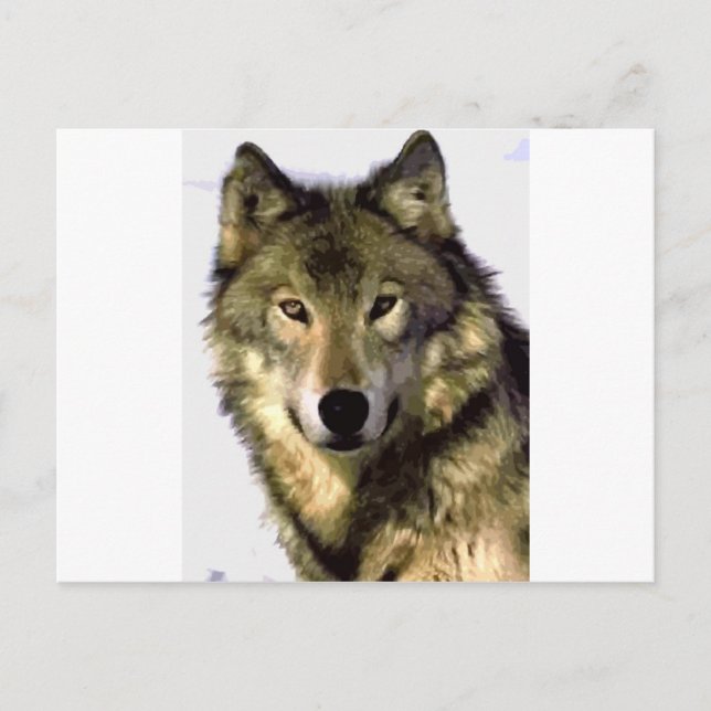 Postal Gray Wolf (Anverso)