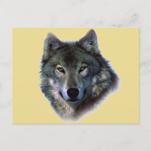 Postal Gray Wolf