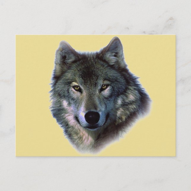 Postal Gray Wolf (Anverso)