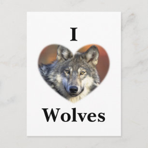 Postal Gray Wolf