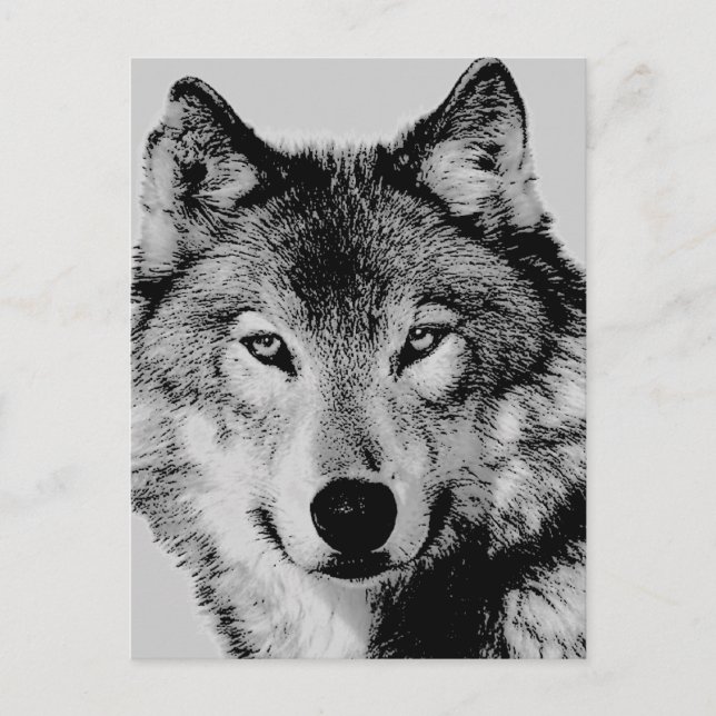 Postal Gray Wolf Eyes (Anverso)