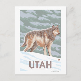 Postal Gray Wolf Standing Utah
