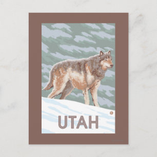 Postal Gray Wolf Standing Utah
