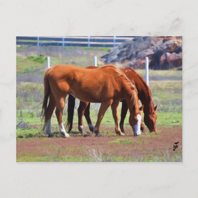 Postal Grazing Pair (Anverso)