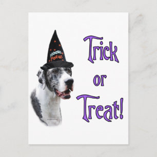 Postal Great Dane (merle) Trick