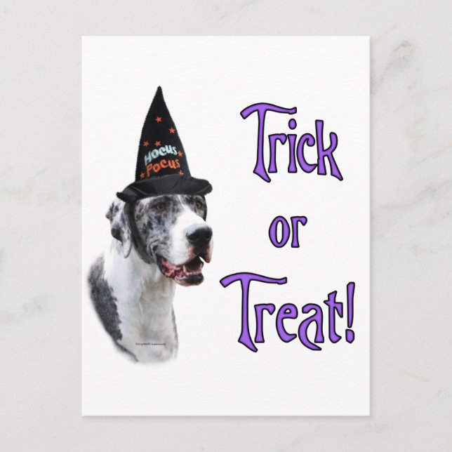 Postal Great Dane (merle) Trick (Anverso)
