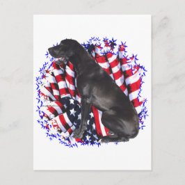 Postal Great Dane Patriot